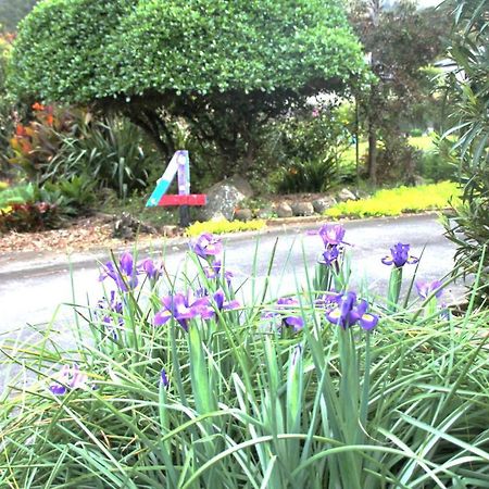 U Beauty - B & B Whangarei Exteriér fotografie